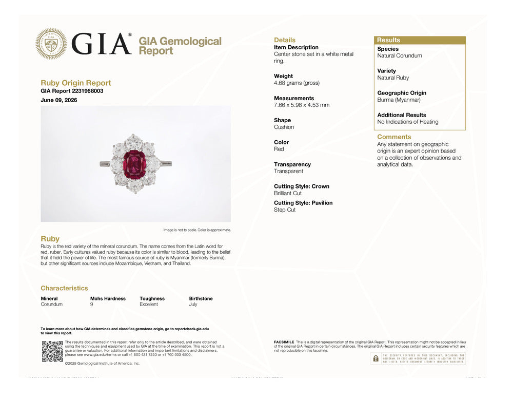 Vintage 18K White Gold Gia 3.93ctw Burma Ruby Halo Diamond Floral Cocktail Ring