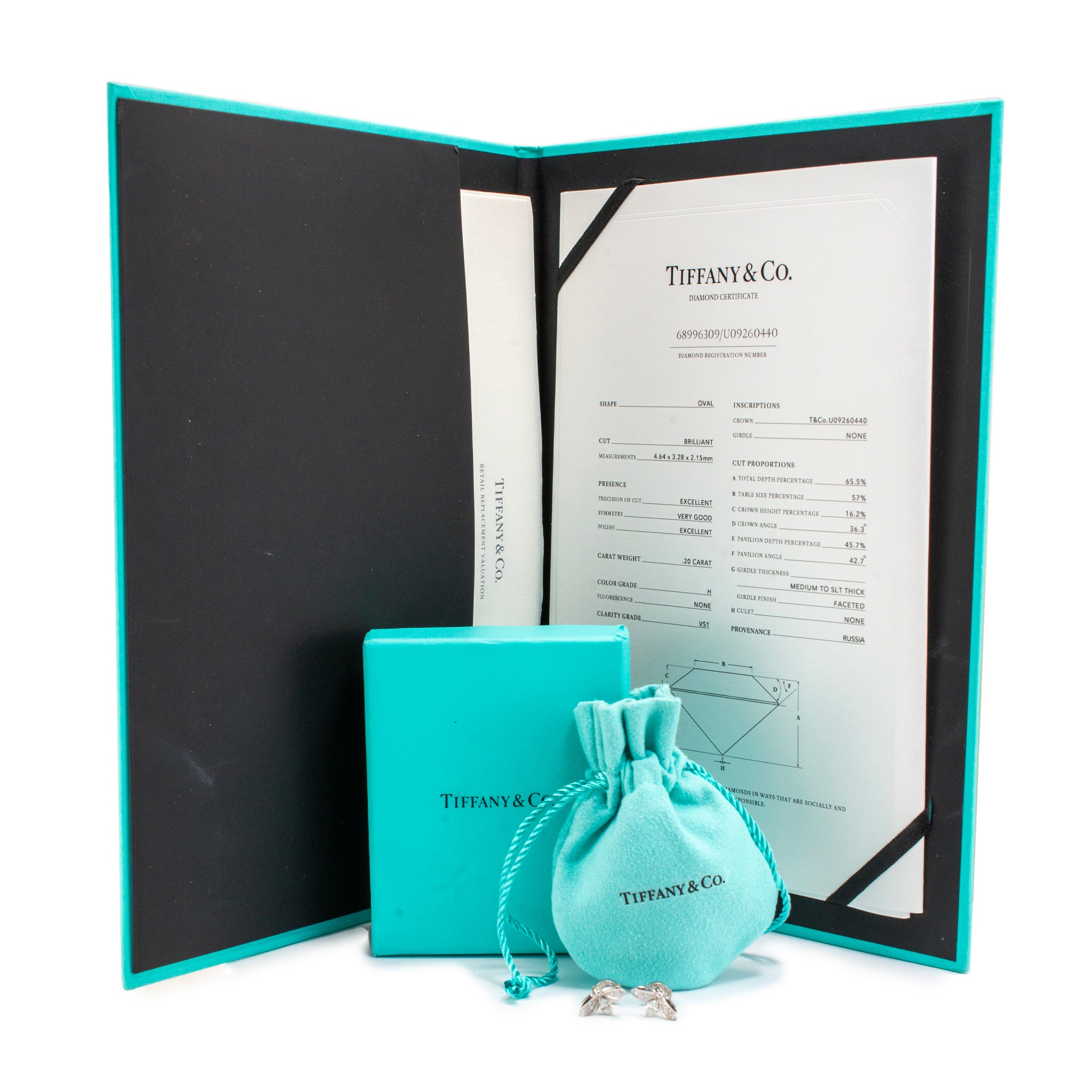 Tiffany & Co. Paper Flowers Collection Platinum Diamond Firefly Stud Earrings