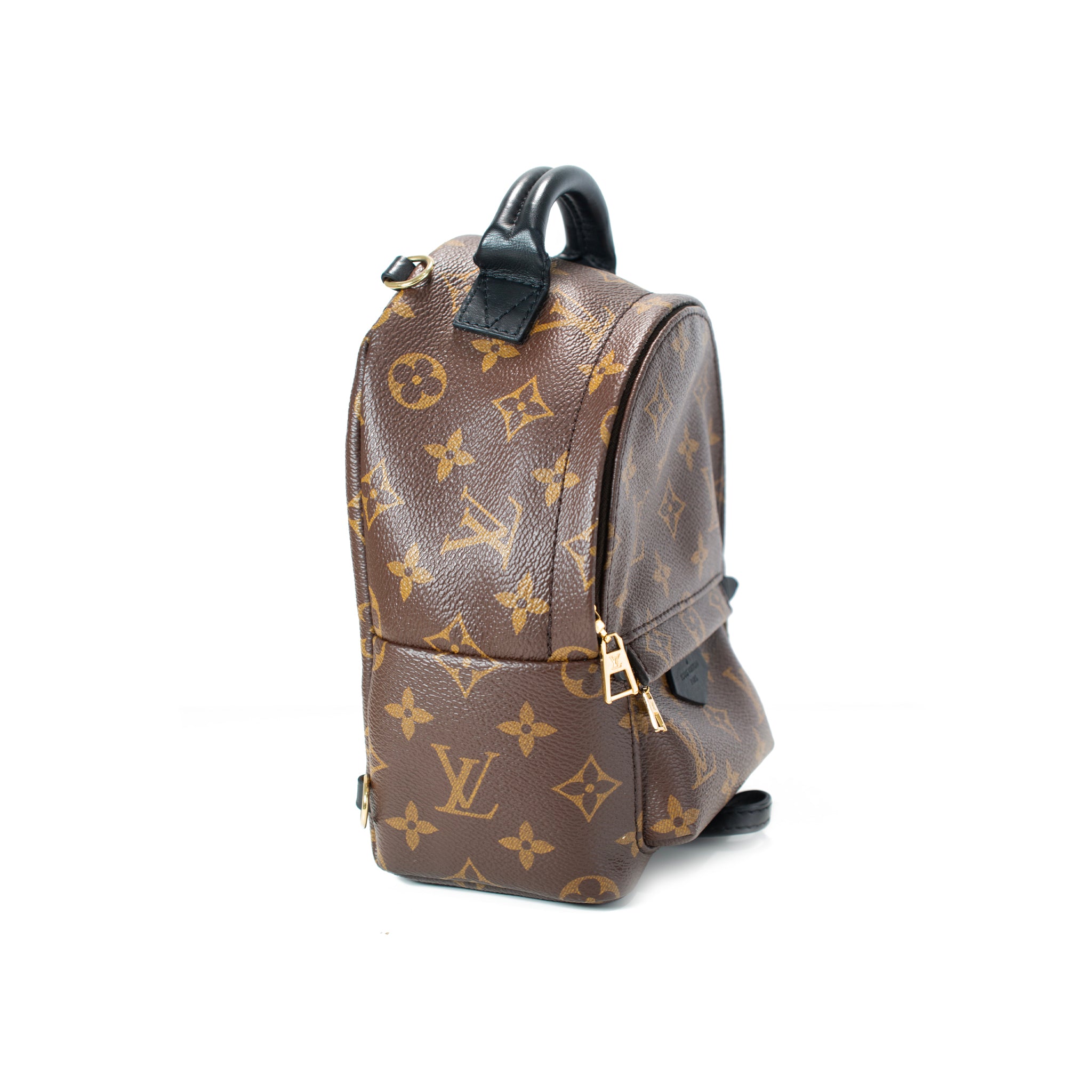 Louis Vuitton Palm Springs Brown Monogram Canvas M44873 Mini Backpack