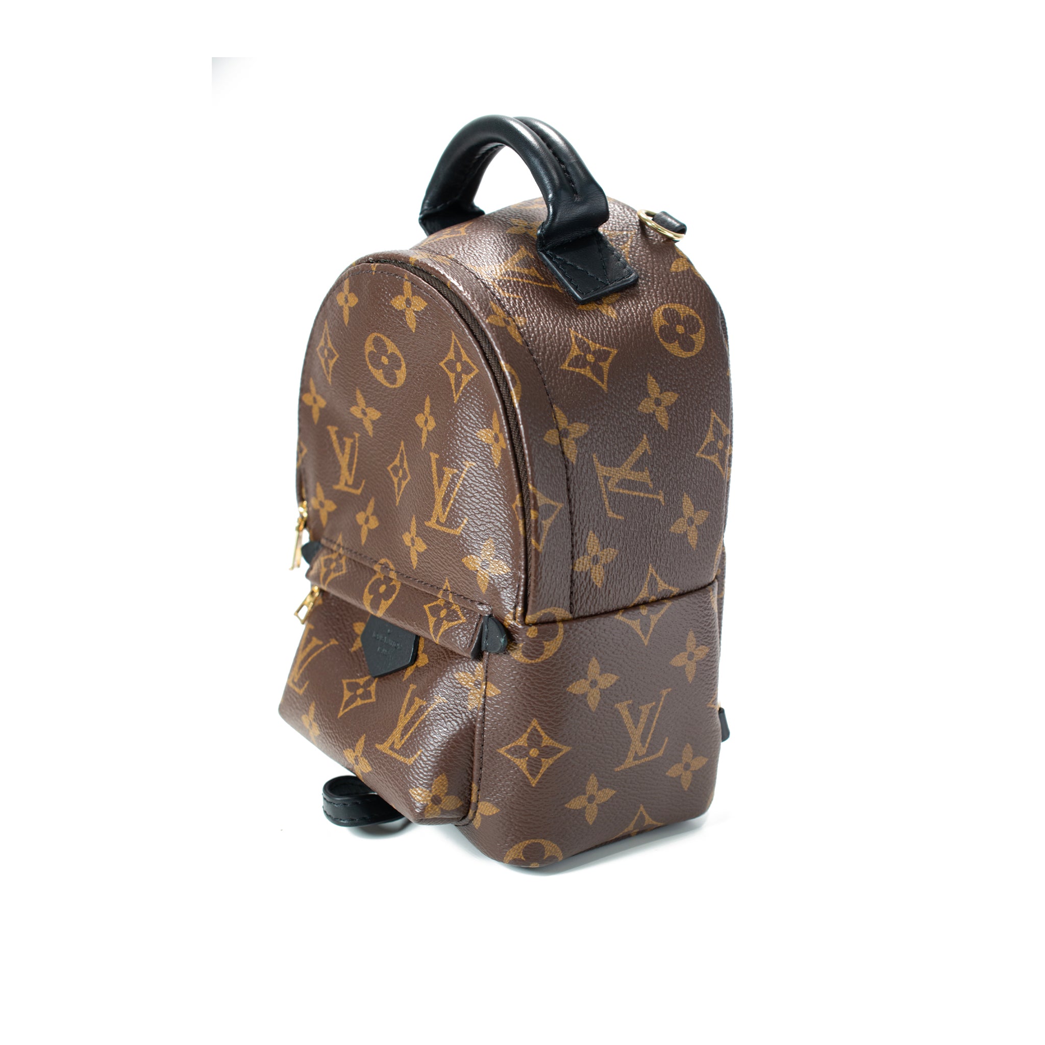 Louis Vuitton Palm Springs Brown Monogram Canvas M44873 Mini Backpack
