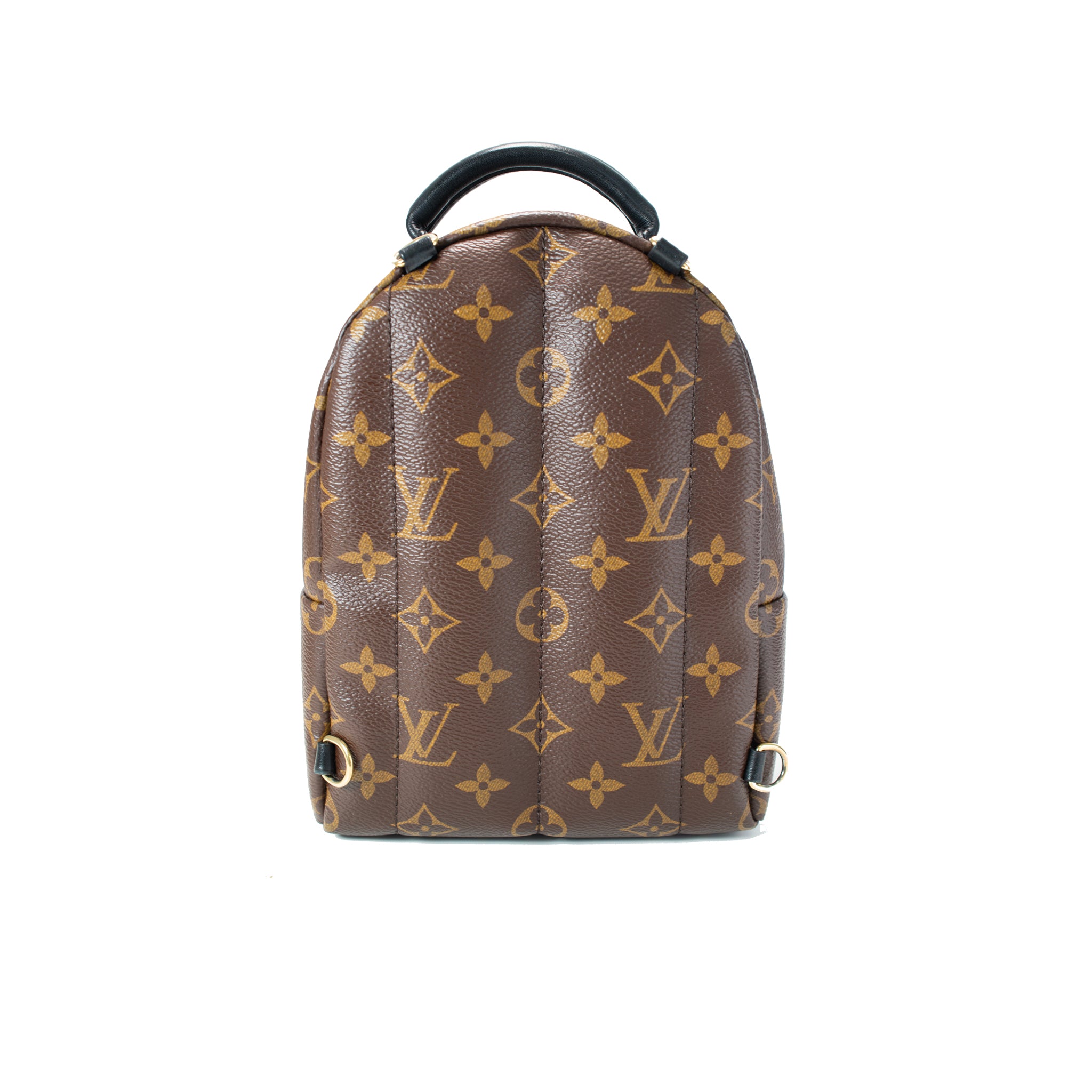 Louis Vuitton Palm Springs Brown Monogram Canvas M44873 Mini Backpack