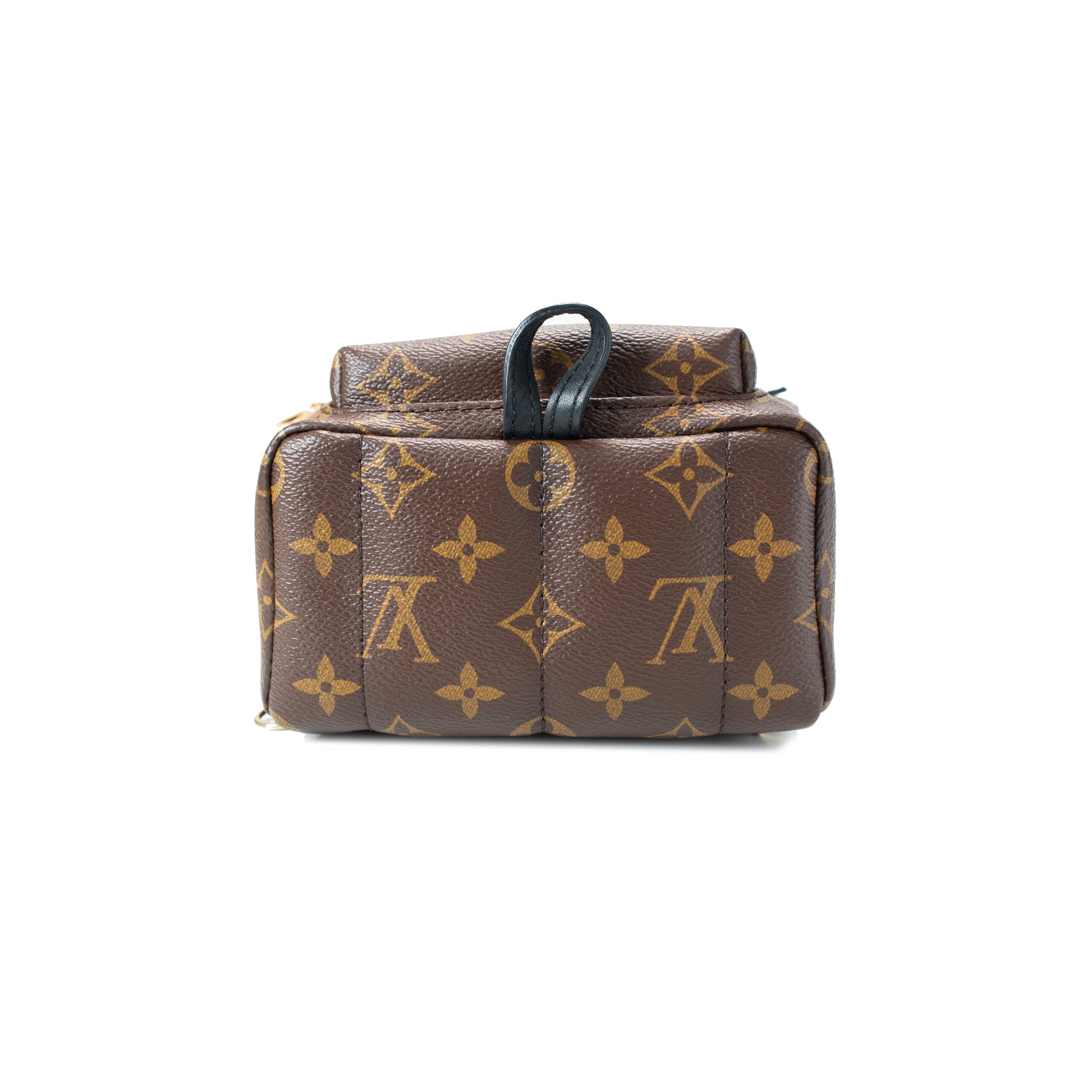 Louis Vuitton Palm Springs Brown Monogram Canvas M44873 Mini Backpack