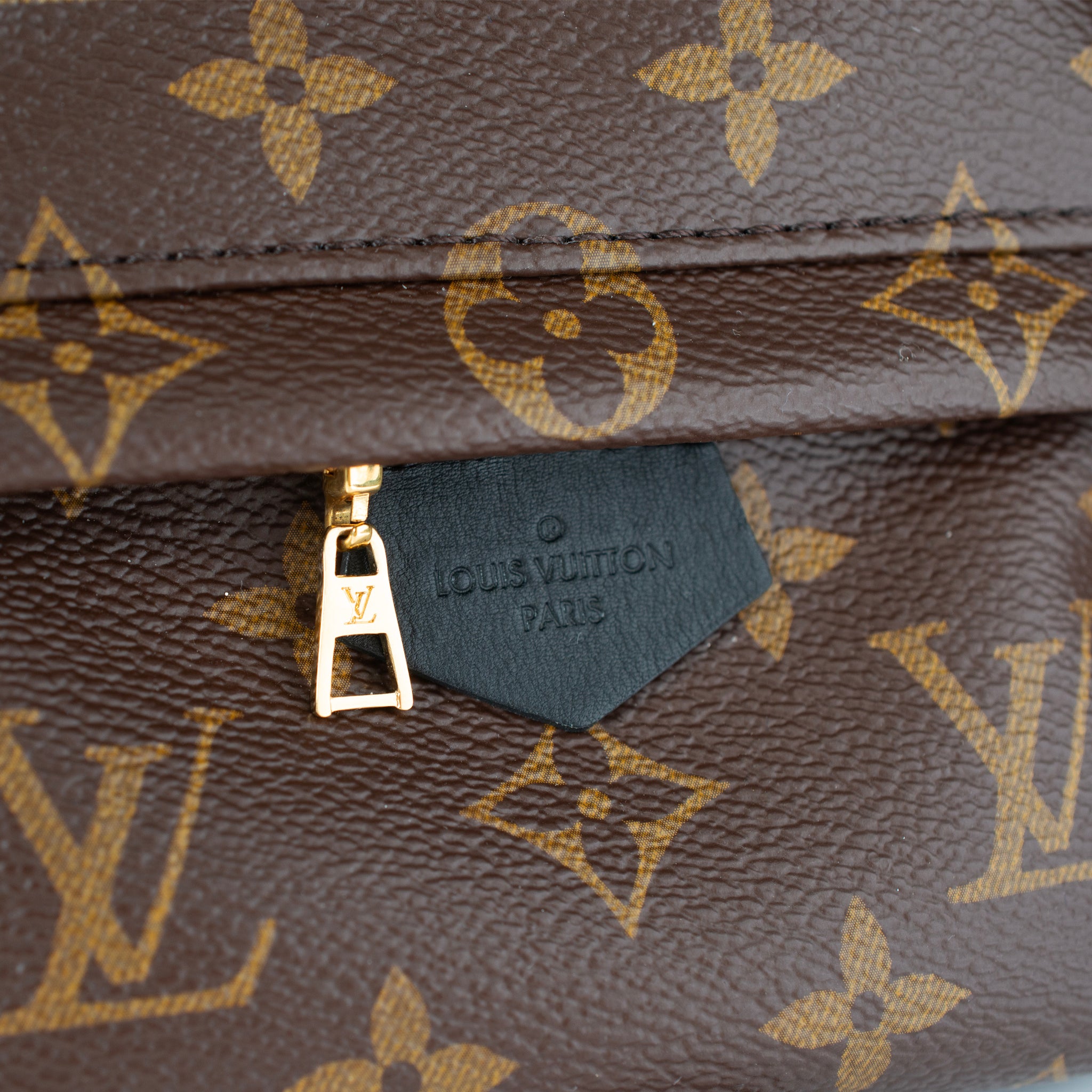 Louis Vuitton Palm Springs Brown Monogram Canvas M44873 Mini Backpack