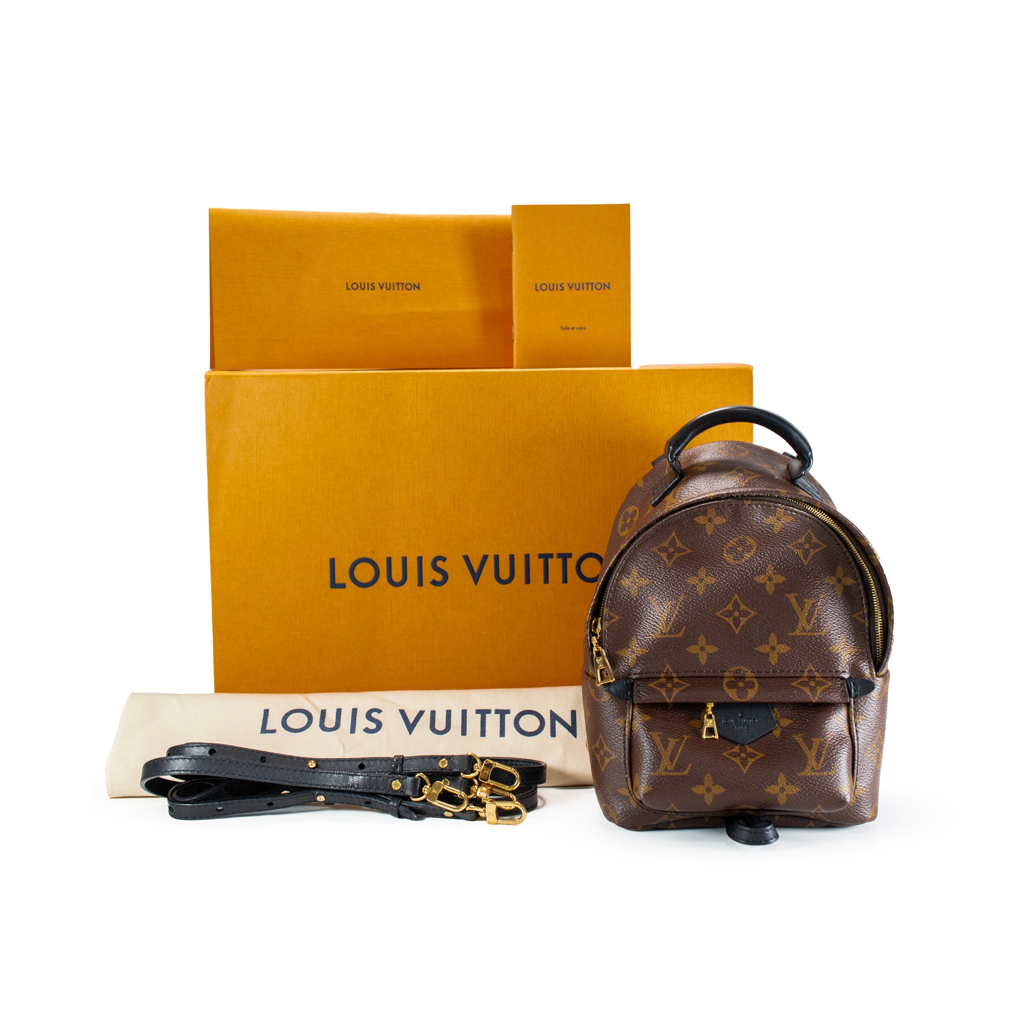 Louis Vuitton Palm Springs Brown Monogram Canvas M44873 Mini Backpack