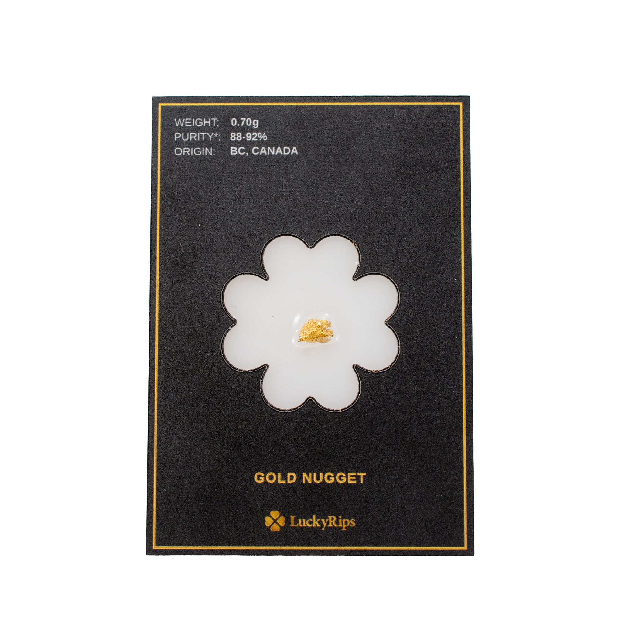 LUCKY RIPS BRITISH COLUMBIA CANADA GOLD NUGGET 0.70G CARDED BULLION NUGGET