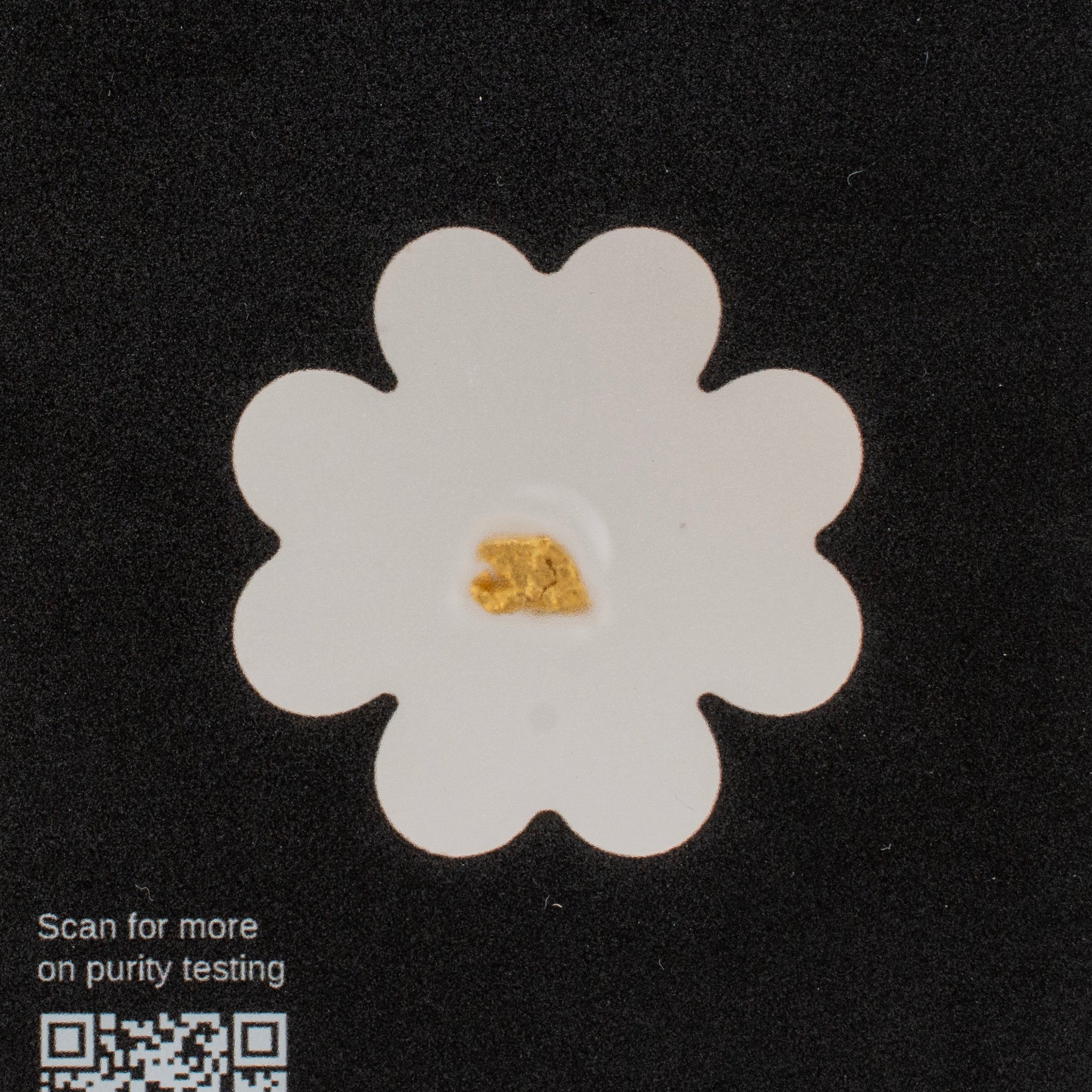 LUCKY RIPS BRITISH COLUMBIA CANADA GOLD NUGGET 0.70G CARDED BULLION NUGGET