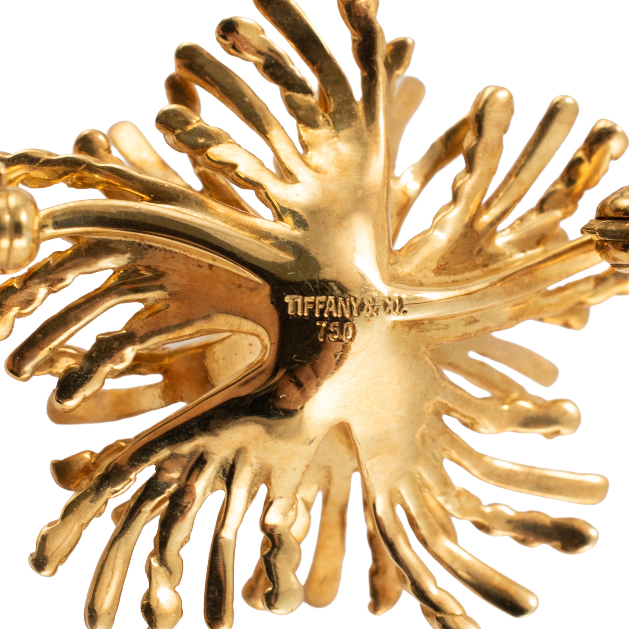 Vintage Tiffany & Co. 18K Yellow Gold Sea Anemone PIN Brooch