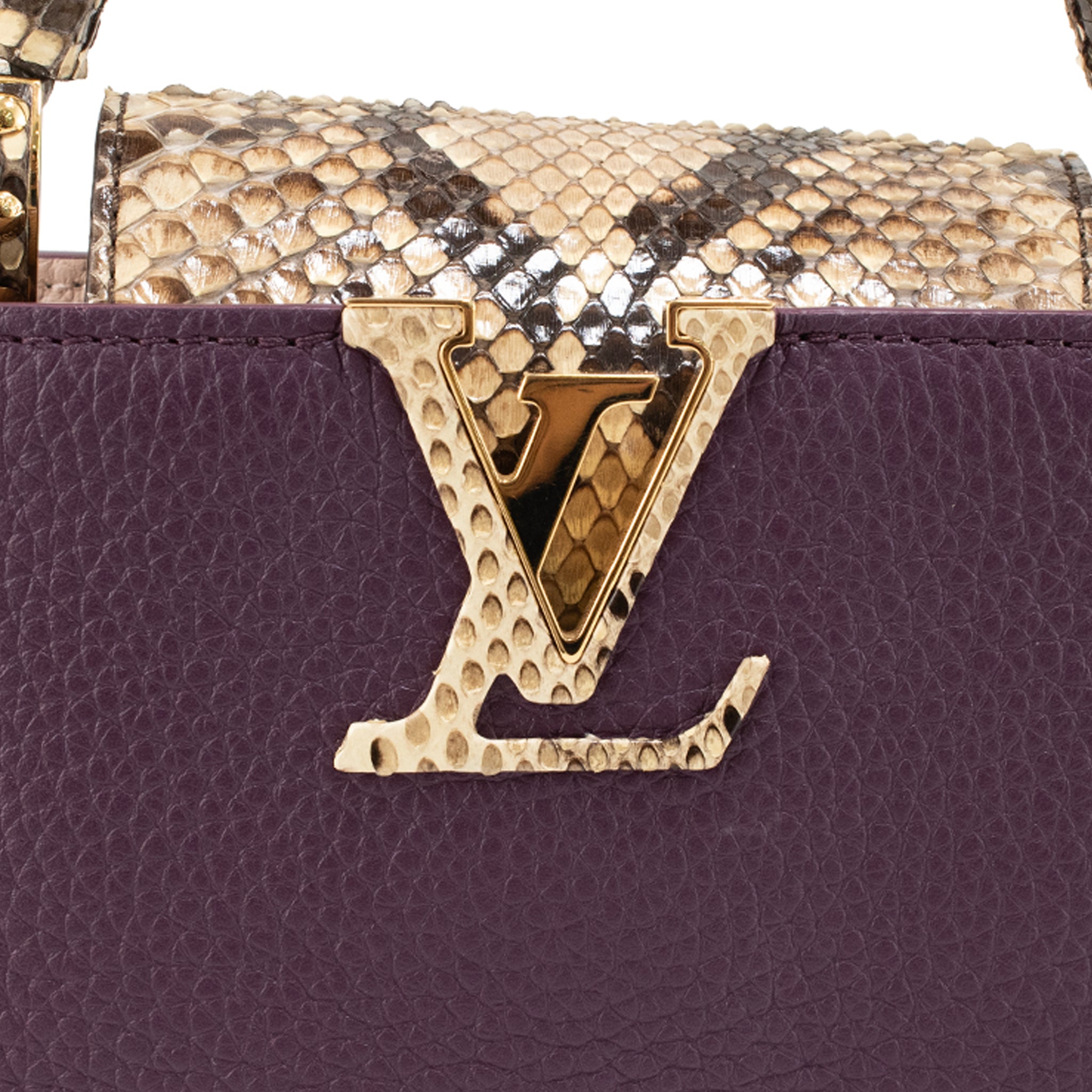 Louis Vuitton Capucines Mini Taurillon Leather Python Gold Hardware Tote Bag