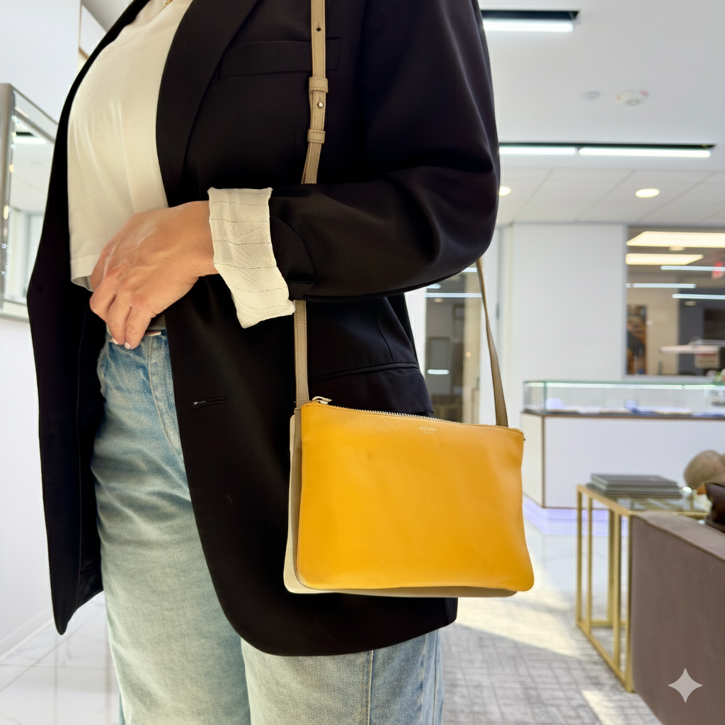 Celine Trio Neutral Multitone Colors Soft Leather Crossbody Bag