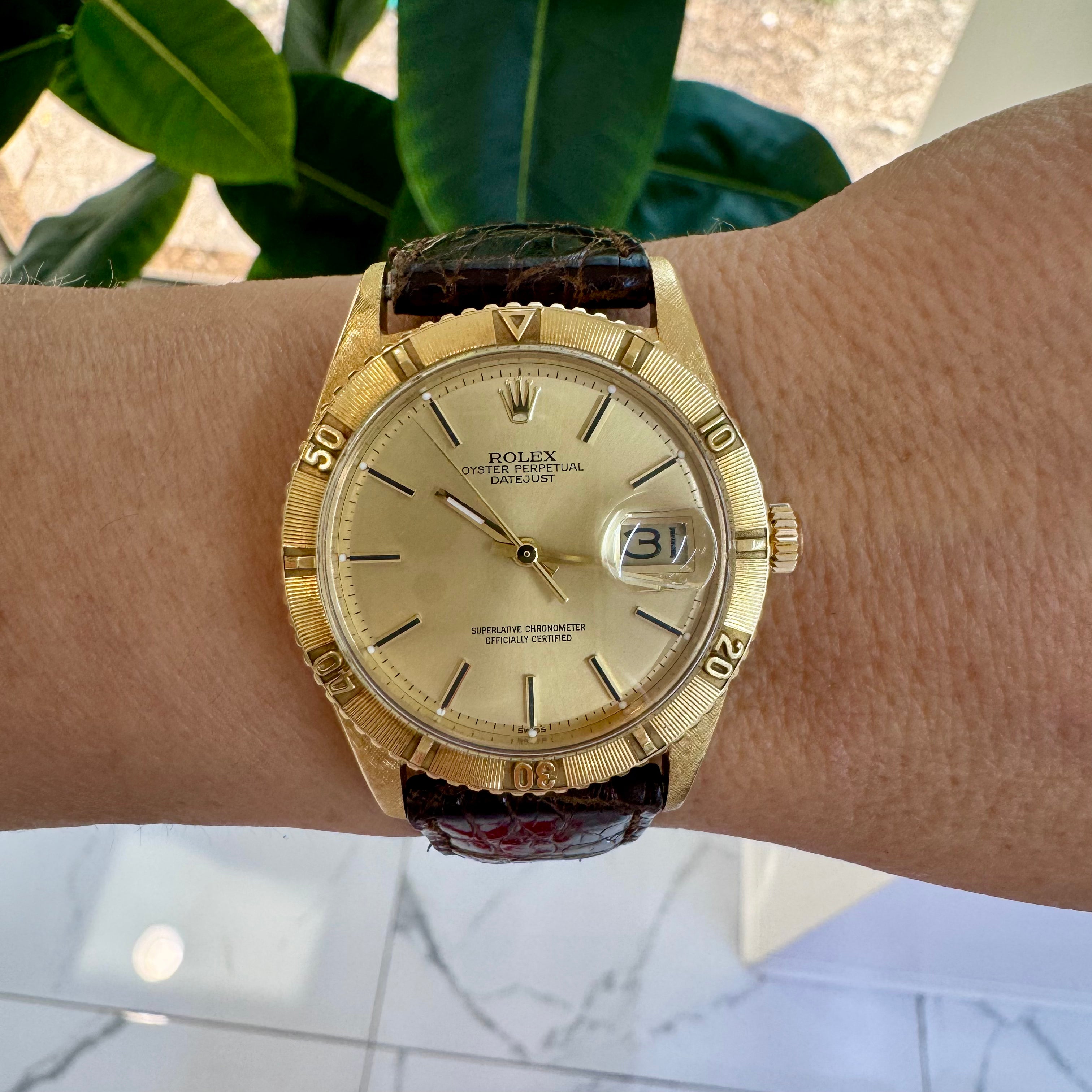Vintage Rolex Datejust Turn-O-Graph Oyster Thunderbird 36MM 1625 Bark Gold Watch