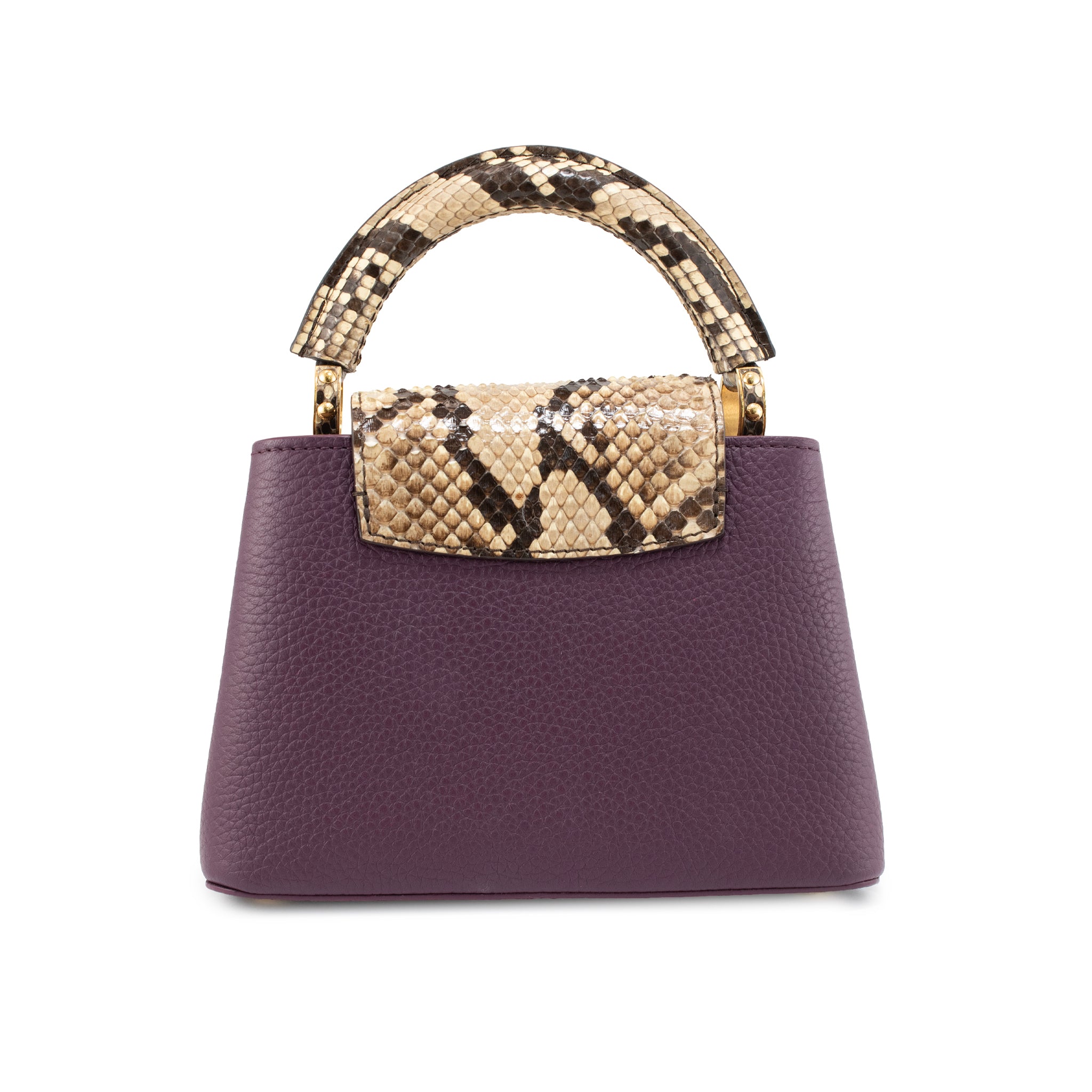 Louis Vuitton Capucines Mini Taurillon Leather Python Gold Hardware Tote Bag