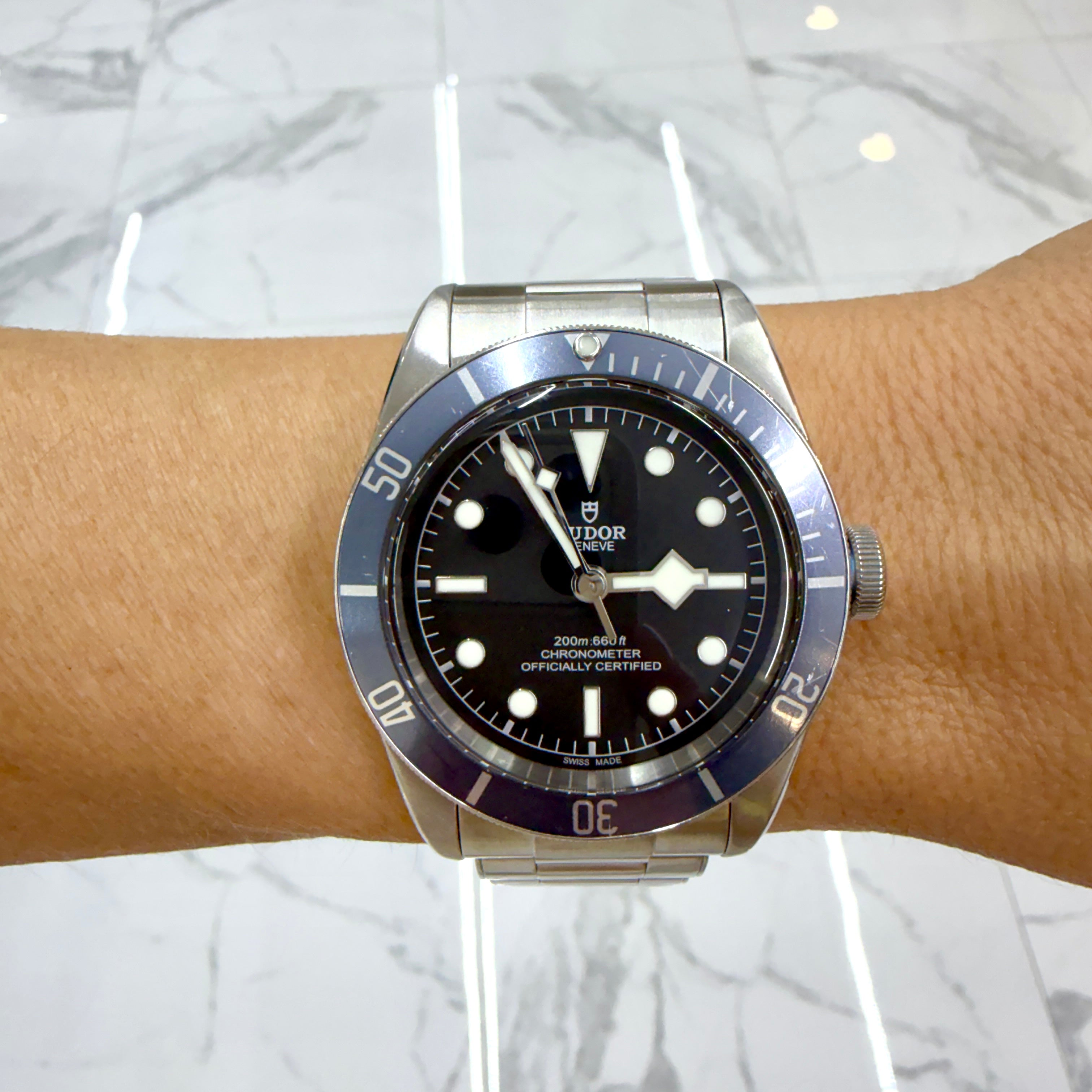 Tudor Heritage Black Bay 41MM 79230 Blue Bezel Stainless Steel Automatic Watch